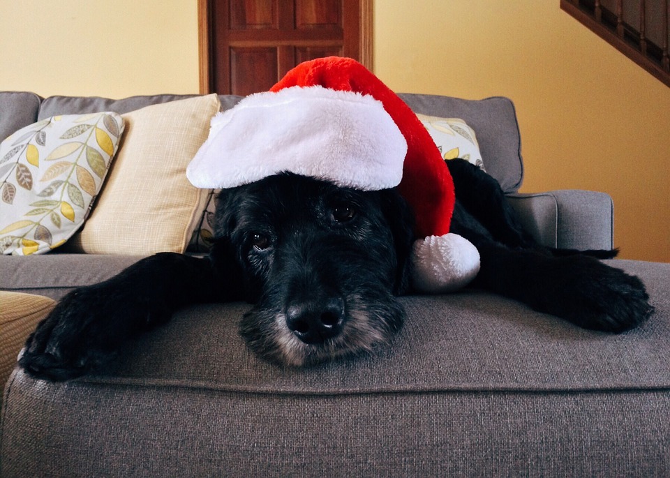 Holiday Cottage Christmas Dog