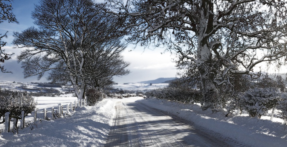 Holiday Cottage Christmas Cheviot Hills