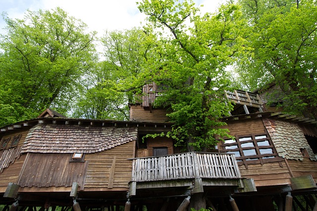 Treehouse restautant